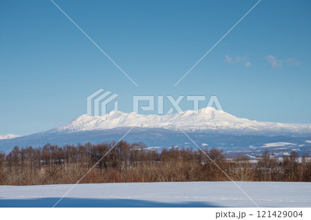 冬の澄んだ青空と雪山　大雪山連峰 121429004