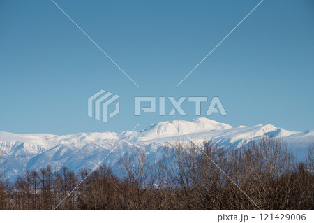 冬の雑木林と雪山　十勝岳連峰 121429006