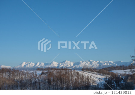 冬の青空と雪の山並み　十勝岳連峰 121429012