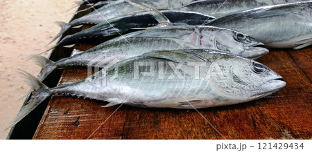 Fisheries on the coast of Sri Lanka. Selling fish tuna at a street market. 121429434