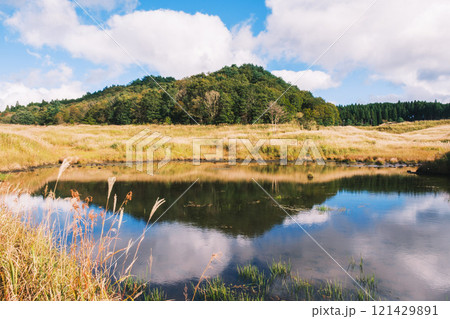 [砥峰高原]秋の到来を告げる美しいススキの風景 121429891