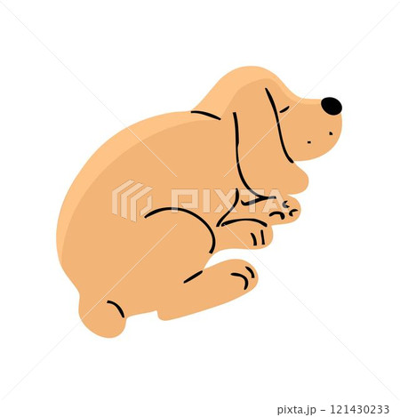 Cute spaniel dog on white background Cute spaniel dog on white background 121430233