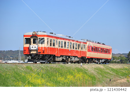 いすみ鉄道 国吉-上総中川 キハ52-125+キハ28-2346 夷隅 いすみ鉄道 国吉-上総中川 キハ52-125+キハ28-2346 夷隅 121430442