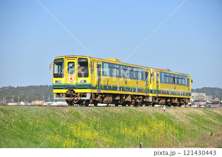いすみ鉄道 国吉-上総中川 キハ206 いすみ鉄道 国吉-上総中川 キハ206 121430443