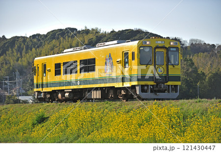 いすみ鉄道 上総中川-国吉 キハ301 いすみ鉄道 上総中川-国吉 キハ301 121430447