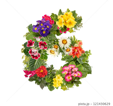 Number 6 made of flowers Number 6 made of flowers 121430629