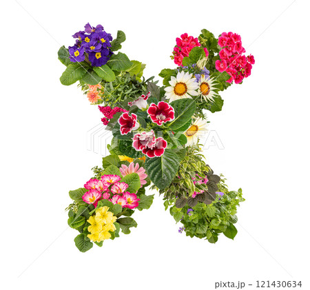 Letter X made of various colorful flowers 121430634
