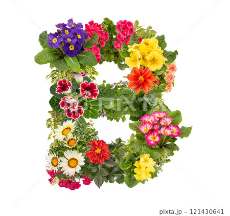 Letter B made of various colorful flowers 121430641