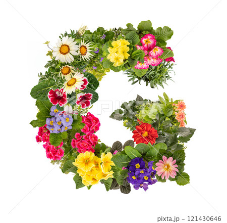 Letter G made of various colorful flowers 121430646