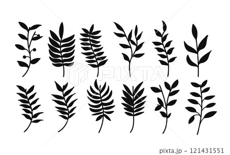 Silhouette botanical branches and leaves collection. Vector illustration. Silhouette botanical branches and leaves collection. Vector illustration. 121431551