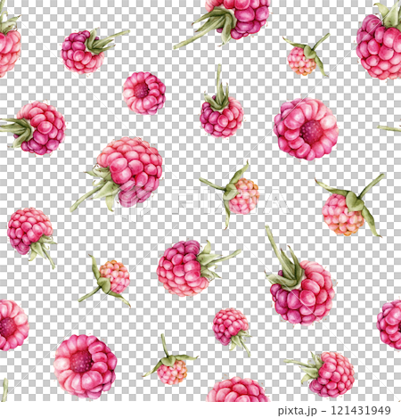 Watercolor seamless pattern with Raspberries and blackberries. Hand drawing illustration red berries. Graphic design element isolated on white background. 121431949