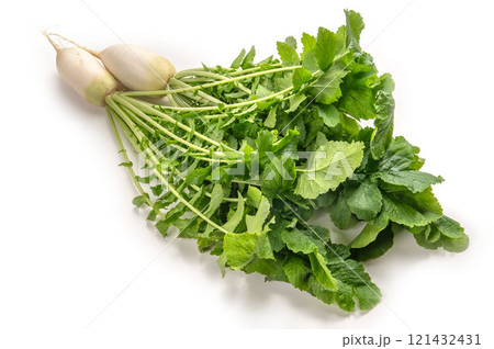 加賀野菜の源助大根 121432431