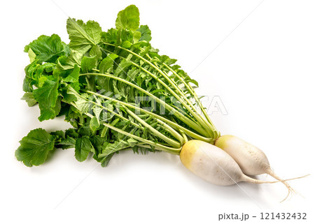 加賀野菜の源助大根 121432432
