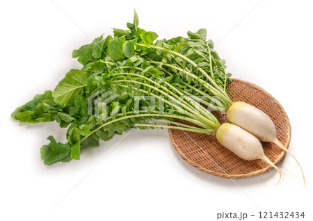 加賀野菜の源助大根 加賀野菜の源助大根 121432434