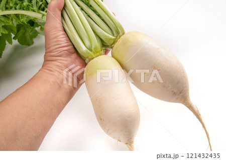 加賀野菜の源助大根 121432435