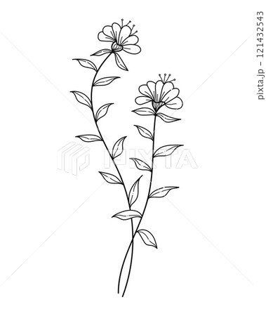 Hand drawn line art blooming flowers. Design for invitations, tattoos and backgrounds, botanical vector illustrations Hand drawn line art blooming flowers. Design for invitations, tattoos and backgrounds, botanical vector illustrations 121432543