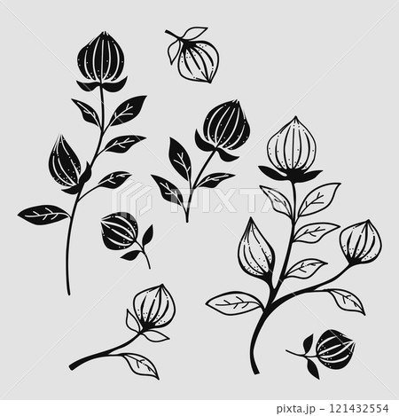 Vector Illustration black hand-drawn flowers collection 121432554