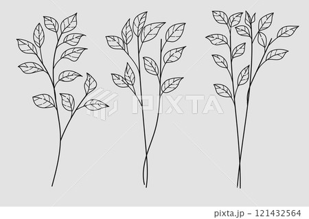 Set Hand Drawn Leaves and Branches on White Isolated Background .Vector Illustration	 121432564
