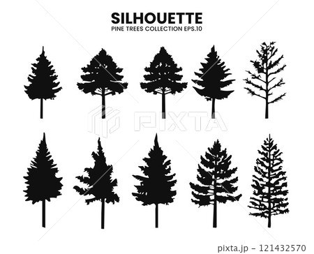 Silhouette Pines .Vector Trees Collection	 121432570