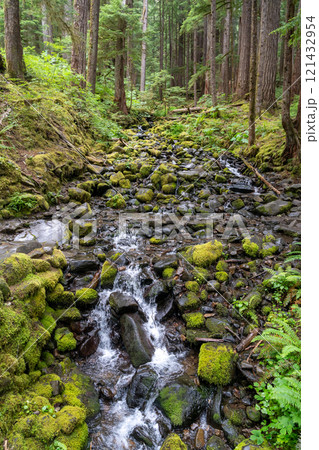 Stream Along Sol Duc Falls in Olympic National Park Surrounded by Lush Forest 121432954