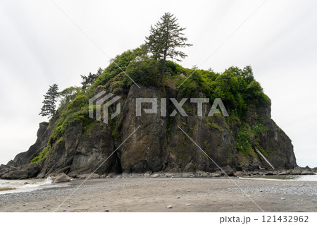 Abbey Island sea stack at Ruby Beach with lush greenery under cloudy skies. Abbey Island sea stack at Ruby Beach with lush greenery under cloudy skies. 121432962