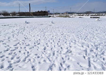 新雪に足跡 121433369