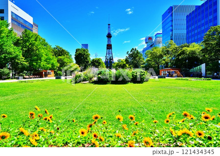 夏の北海道 札幌市 大通公園の風景 121434345