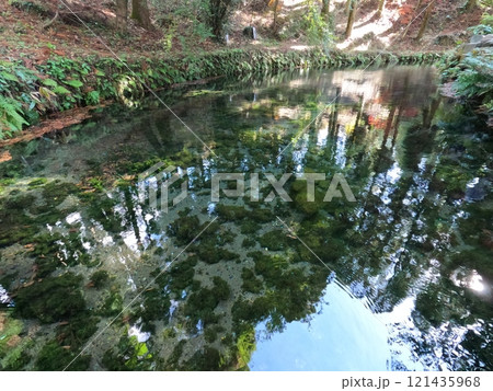 水源と紅葉 121435968