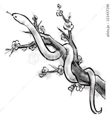 梅の木に巻き付く蛇の水墨画イラスト モノクロ 巳年 ヘビ 年賀状 梅の木に巻き付く蛇の水墨画イラスト モノクロ 巳年 ヘビ 年賀状 121437196