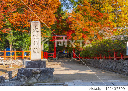 秋の京都　大田神社　紅葉に包まれた鳥居 121437209