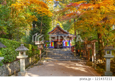 秋の京都　大田神社　紅葉に包まれた拝殿 121437211