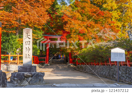 秋の京都　大田神社　紅葉に包まれた鳥居 121437212