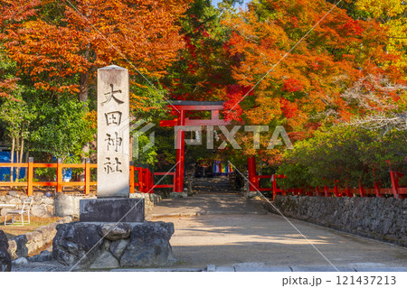 秋の京都　大田神社　紅葉に包まれた鳥居 121437213