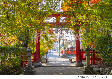 秋の京都　大田神社　紅葉に包まれた鳥居 121437215