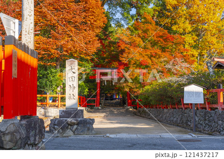 秋の京都 大田神社 紅葉に包まれた鳥居 秋の京都 大田神社 紅葉に包まれた鳥居 121437217