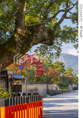 秋の京都上賀茂　藤木社のクスノキと社家の町並み  121437222