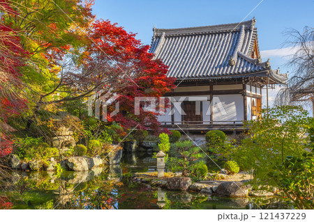 秋の京都　善峯寺　紅葉に包まれた薬師堂と蓮華寿院旧跡庭 121437229