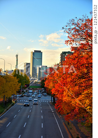《愛知県》名古屋都市風景 秋の若宮大通 紅葉した街路樹 《愛知県》名古屋都市風景 秋の若宮大通 紅葉した街路樹 121437312