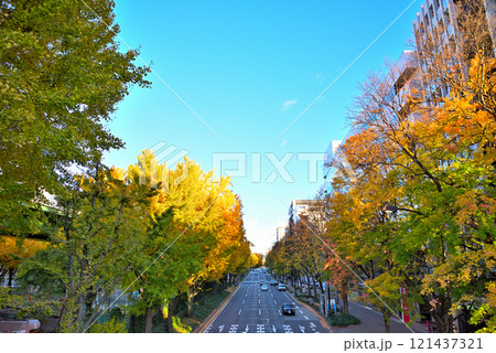《愛知県》名古屋都市風景　秋の若宮大通　紅葉した街路樹 121437321