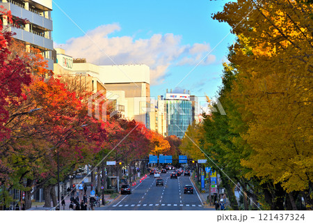 《愛知県》名古屋都市風景　秋の若宮大通　紅葉した街路樹 121437324