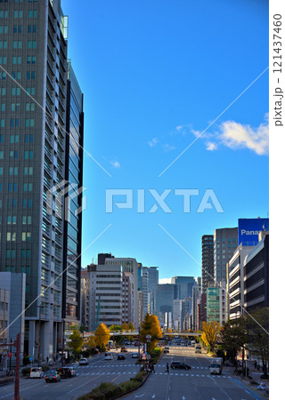 《愛知県》名古屋都市風景　秋の桜通　黄葉したイチョウ並木 121437460