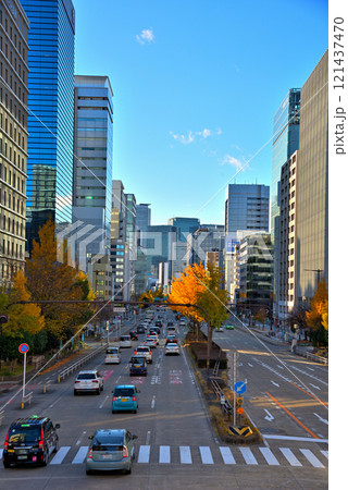 《愛知県》名古屋都市風景　秋の桜通　黄葉したイチョウ並木 121437470