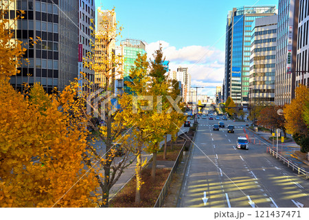 《愛知県》名古屋都市風景　秋の桜通　黄葉したイチョウ並木 121437471