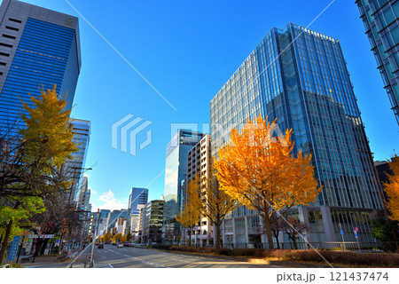 《愛知県》名古屋都市風景 秋の桜通 黄葉したイチョウ並木 《愛知県》名古屋都市風景 秋の桜通 黄葉したイチョウ並木 121437474