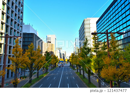 《愛知県》名古屋都市風景　秋の桜通　黄葉したイチョウ並木 121437477