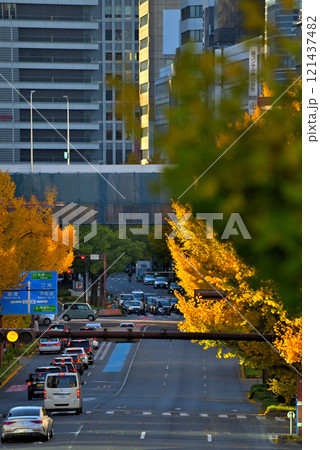 《愛知県》名古屋都市風景　秋の桜通　黄葉したイチョウ並木 121437482