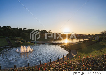 茨城 夕暮れのひたち海浜公園 茨城 夕暮れのひたち海浜公園 121437775