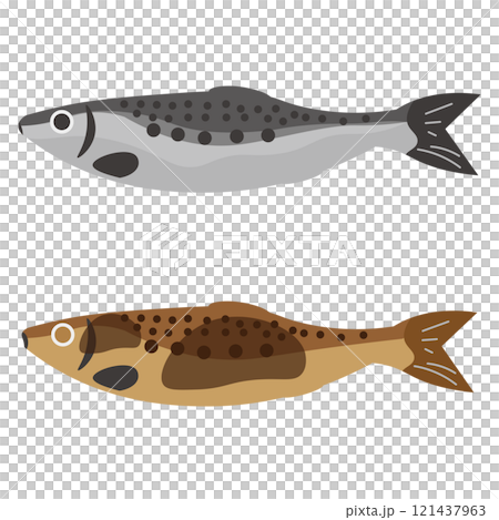 生の鰯のイラストと焼いた鰯のイラスト 121437963
