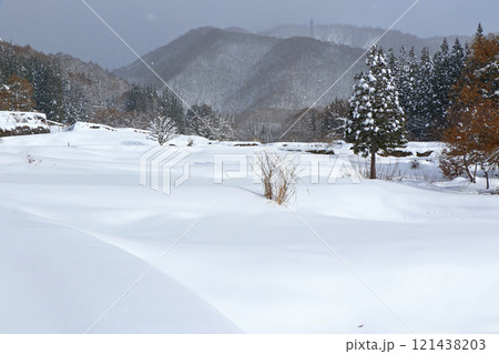 白馬村青鬼　冬の棚田 121438203