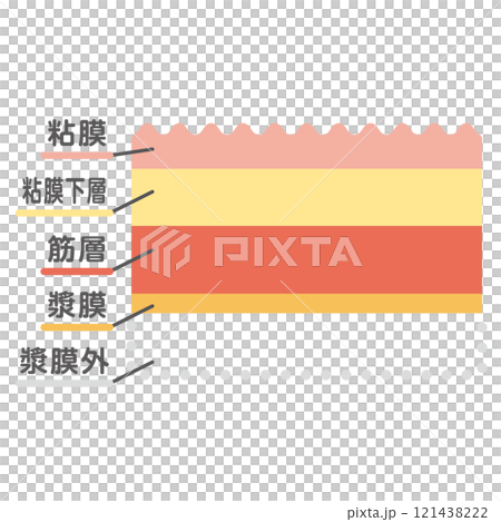 胃腸黏膜圖解 121438222